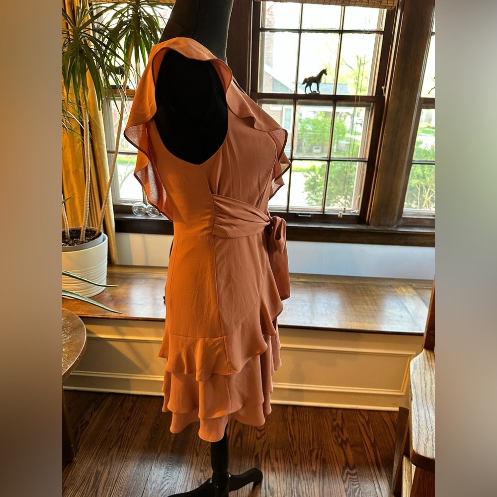 Express Ruffle Mini Dress - Picture 8 of 11